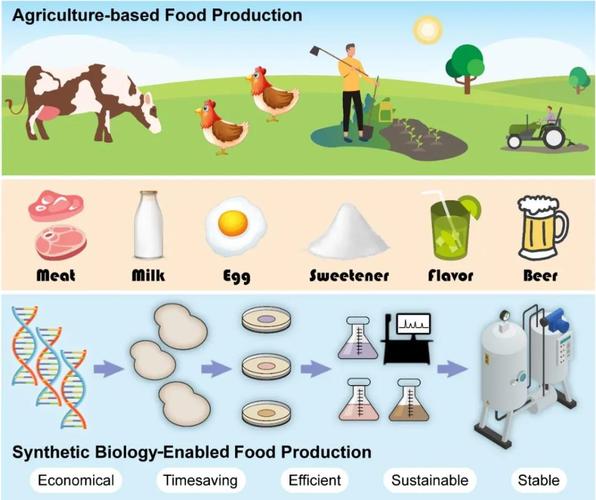 食品合成生物学:研究进展和未来方向