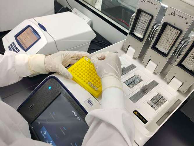 生产菌株dna检测丨助力食品行业遗传修饰微生物产品安全评价